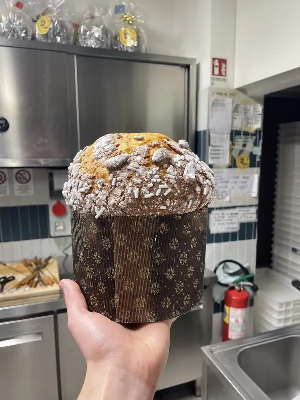 Panettone artigianale